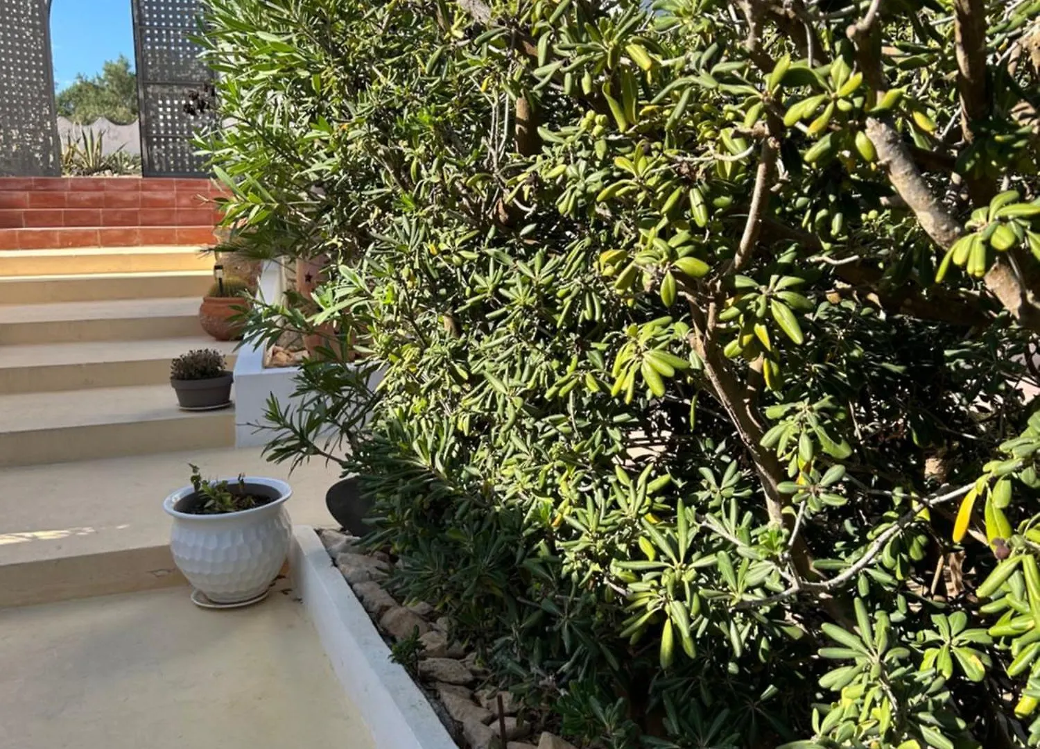 Oasi Di Casablanca Hotel Lampedusa